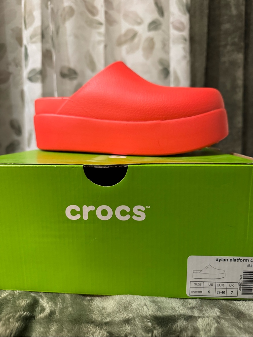 Croc Dylan